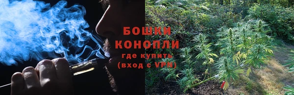 каннабис Аркадак